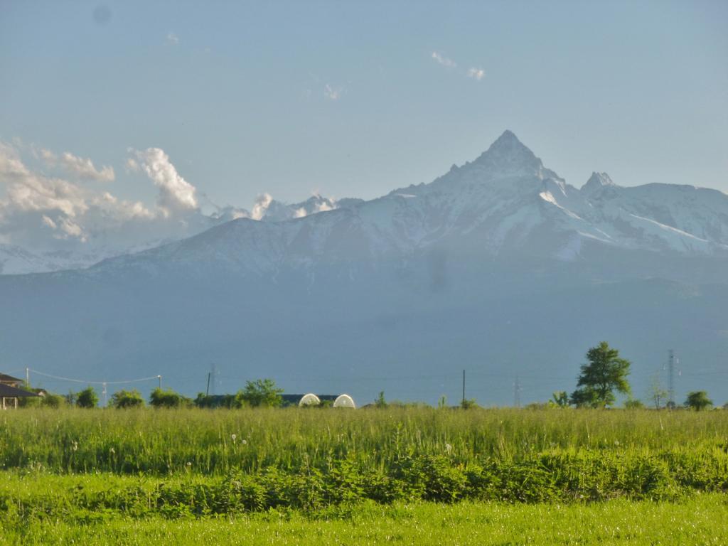 Tenuta Ajrale Vigone ภายนอก รูปภาพ