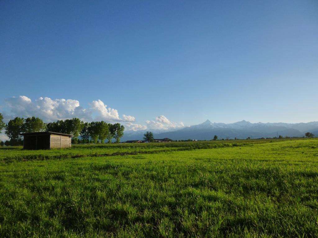 Tenuta Ajrale Vigone ภายนอก รูปภาพ